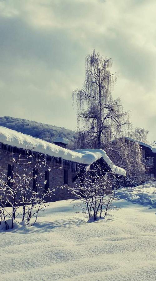 Dionisia'S Home, Pool, Spa On Monviso Unesco Alps Verzuolo Exterior foto