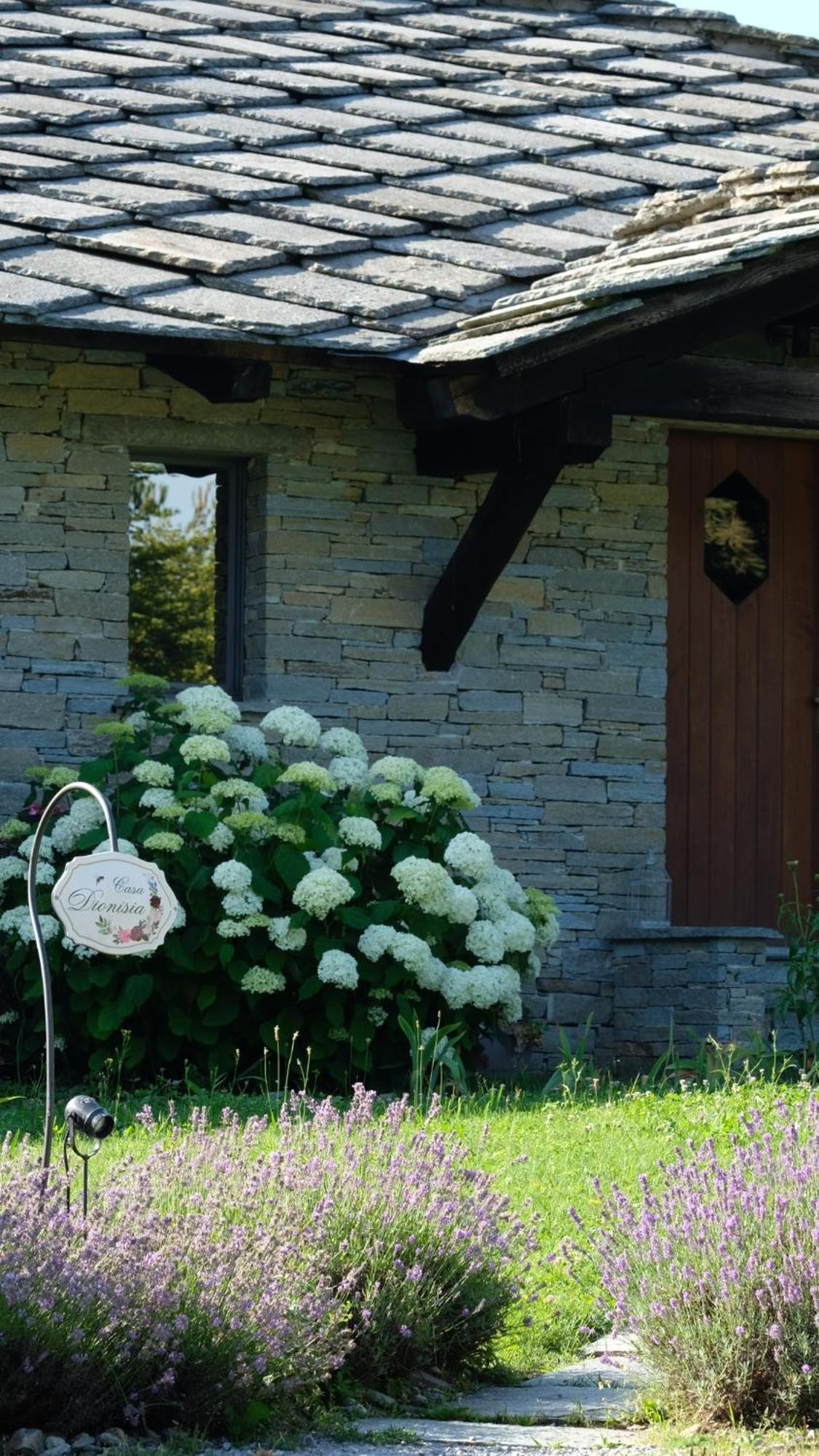 Dionisia'S Home, Pool, Spa On Monviso Unesco Alps Verzuolo Exterior foto